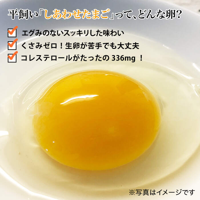 【ふるさと納税】【月1回20個×3回定期便】平飼い「しあわせたまご」計60個＜松本養鶏場＞ [CCD027]