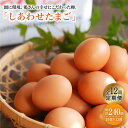 【ふるさと納税】【月1回20個×12回定期便】平飼い「しあわせたまご」計240個＜松本養鶏場＞ [CCD031]