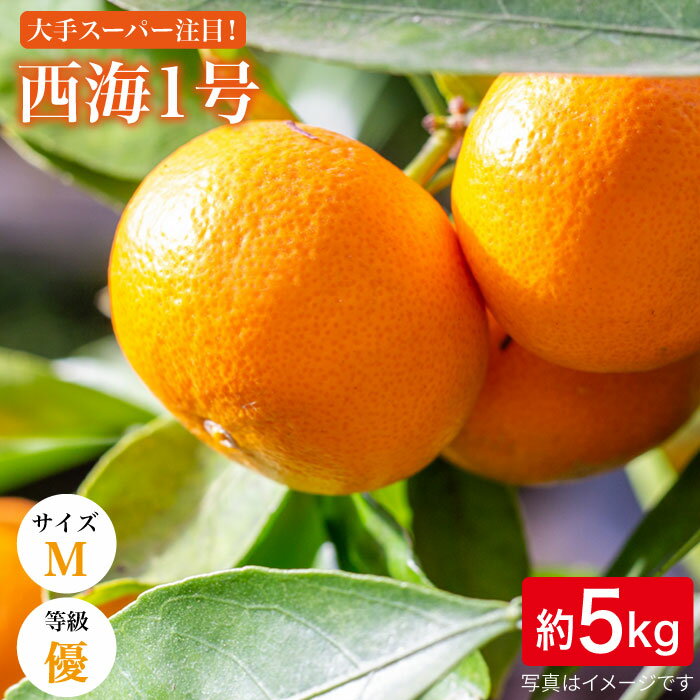 【ふるさと納税】【訳あり】【先行予約☆限定100箱】西海1号（温州みかん）約 5kg (優品/Mサイズ)＜西海柑橘農業協同組合＞ [CCF003] みかん 柑橘 果物 訳あり 早生 甘い スイーツ ビタミン補給 ブランドみかん