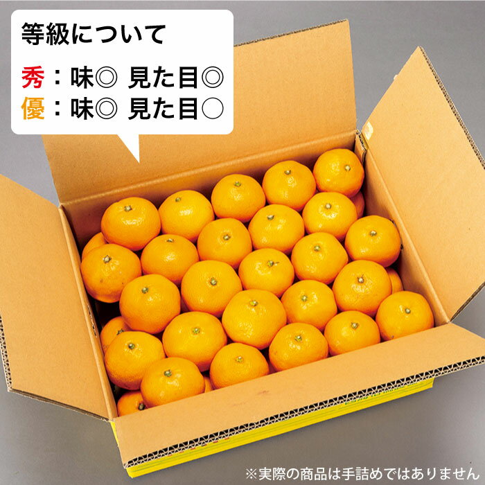 【ふるさと納税】【限定20箱】西海1号（温州みかん）約5kg（秀品/Mサイズ）＜西海柑橘農業協同組合＞ [CCF005]