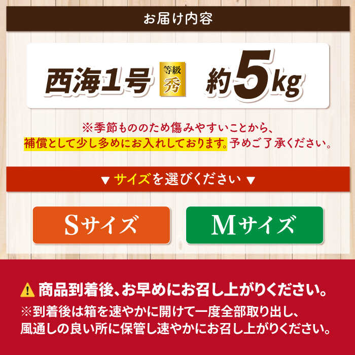 【ふるさと納税】【11月上旬より順次発送】西海1号（温州みかん）約 5kg（秀品/Mサイズ）＜西海柑橘農業協同組合＞ [CCF005] みかん 柑橘 果物 訳あり 早生 甘い スイーツ ビタミン補給 ブランドみかん ギフト 贈り物 贈答 f422126-saikai-10001987 長崎県西海市 サンプル画像3