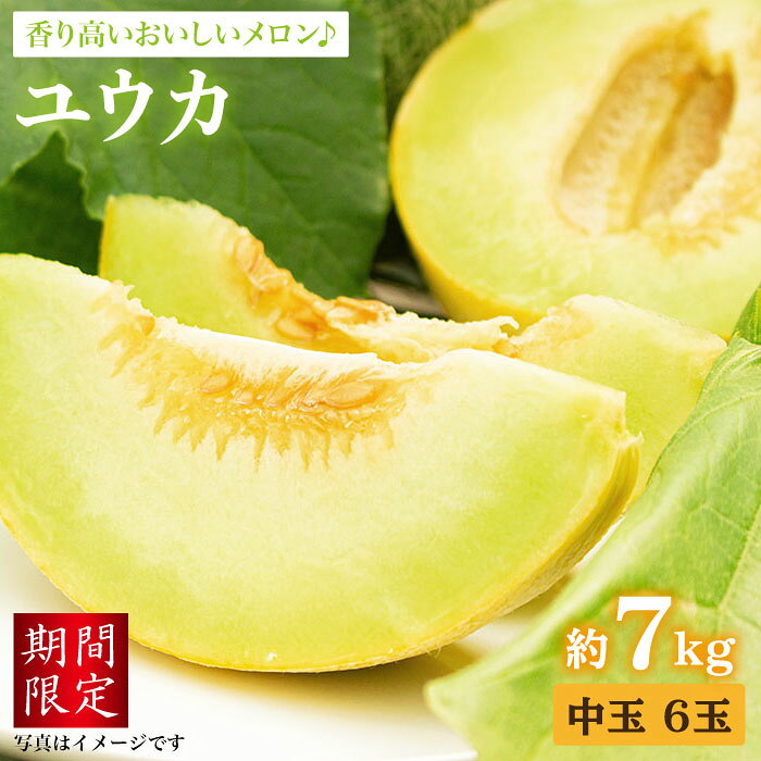 【☆先行予約☆】【香り高い】 大島 メロン 「ユウカ」中玉6玉（計7kg）＜大島造船所農産G＞ [CCK018] 果物 フルーツ 贈答 ギフト