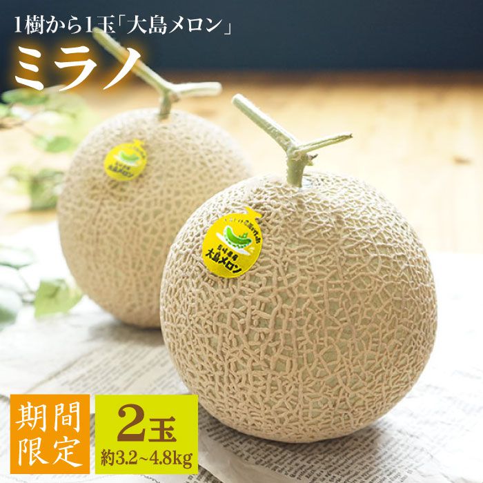 【先行予約☆1本の樹から1玉だけ】大島メロン「ミラノ」2玉（計3.2〜4.8kg）＜大島造船所農産G＞ [CCK021]