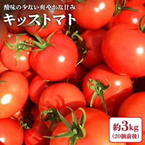 【ふるさと納税】【☆先行予約☆】【糖度7度の果実】 キッストマト （ばら詰め） 約3kg ＜大島造船所 農産グループ＞ [CCK026] 長崎 西海 大島トマト とまと トマト フルーツトマト 野菜 人気 贈答 ギフト プレゼント