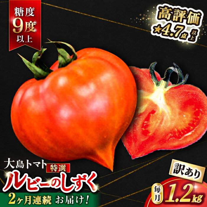 18位! 口コミ数「9件」評価「4.89」【2025年収穫分先行予約】【2回 定期便 】【 訳あり 】糖度9度以上！ 大島トマト 特選「 ルビーのしずく 」約1.2kg＜大島造船所 ･･･ 