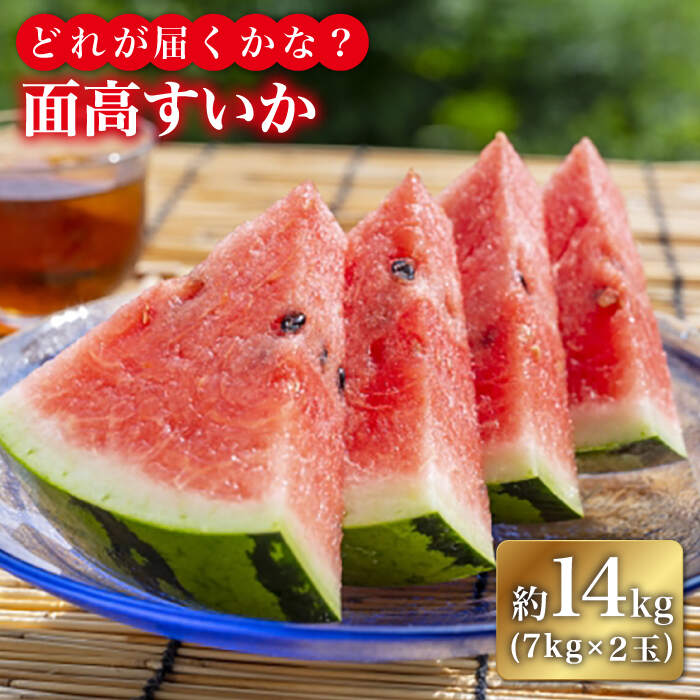 【ふるさと納税】【どれが届くかな？】面高すいか約7kg×2玉 九州 長崎県 スイカ 瓜 ＜太田幸男＞ [CCN003]のサムネイル