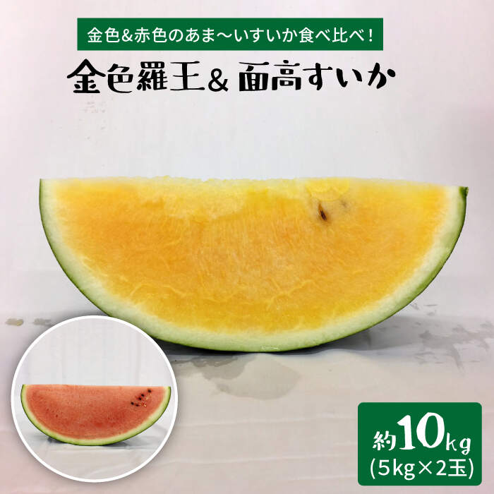 【ふるさと納税】【金色vs赤色すいか食べ比べ】金色羅王＆面高すいか（5kg×2玉）＜太田幸男＞ [CCN009]のサムネイル