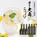 2位! 口コミ数「1件」評価「5」【「芋」と「麦」飲み比べ】磨き大島＆529（各3本入）＜大島酒造＞ [CCP015]