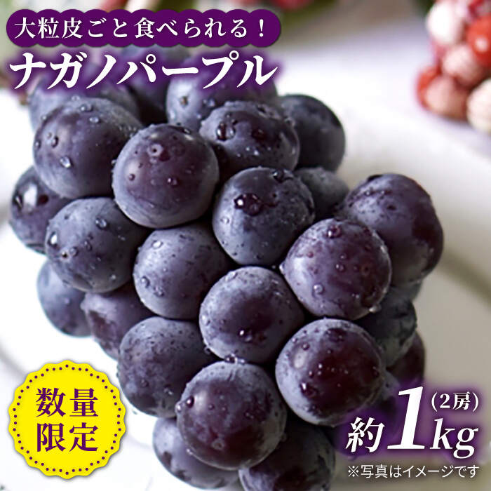 [先行予約][種なし皮ごと] ナガノパープル 計1kg(2房) [山田果樹園] [CCX003] 西海市産 ぶどう ブドウ 巨峰 贈答 ギフト 甘い 大粒 果物 フルーツ