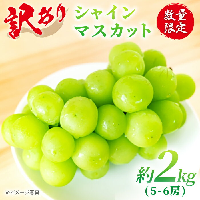 [ 訳あり ] [糖度18以上!] シャインマスカット 「西海シャイン物語」計2kg(5〜6房)[山田果樹園] [CCX006] ブドウ ぶどう シャイン マスカット 種なし 西海市産 不揃い 規格外