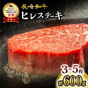 【ふるさと納税】【数量限定】 長崎和牛 ヒレステーキ 計600g（3~5枚）＜大西海ファーム＞ [CCY020] 肉 食品 肉類 国…