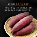 【ふるさと納税】【先行予約】【12回定期便】【とろける美味しさ】 焼き芋 冷凍 2kg ＜大地のいのち＞ [CDA040] 長崎 西海市 さつまいも 芋 サツマイモ 焼いも 焼芋 甘い 紅はるか 2