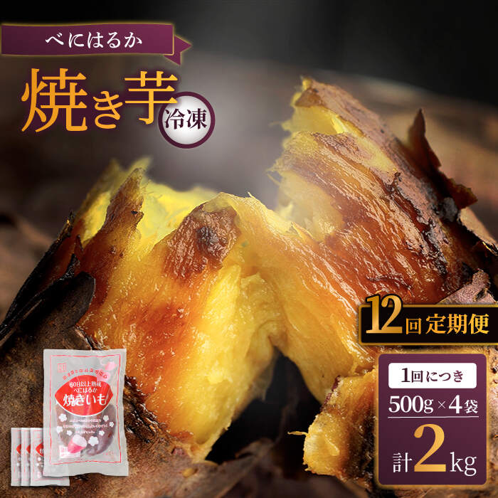 【ふるさと納税】【先行予約】【12回定期便】【とろける美味しさ】 焼き芋 冷凍 2kg ＜大地のいのち＞ ..