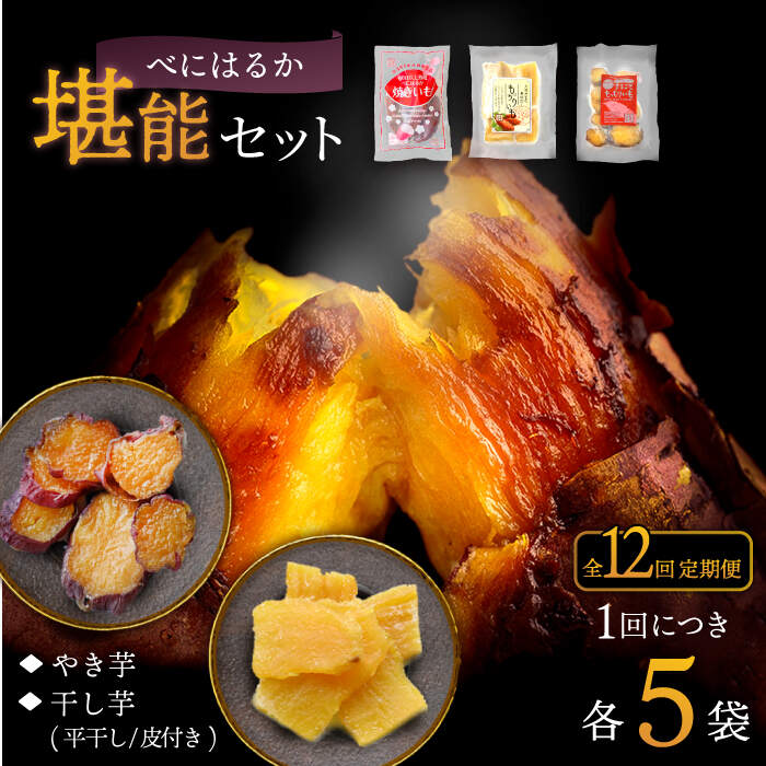 【ふるさと納税】【先行予約】【12回定期便】【堪能セット】 べにはるか 堪能 セット 各5パック ＜大地のいのち＞ [CDA052]のサムネイル