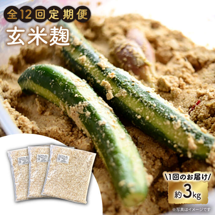 【ふるさと納税】【12回定期便】農薬不使用玄米麹（乾燥米麹） 九州産 約3kg〈川添酢造有限会社〉 [CD...