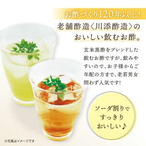 【ふるさと納税】【飲む玄米酢】酢らり 3本セット（うめ・しょうが・ゆうこう）＜川添酢造＞ [CDN002] 長崎 西海 飲む酢 酢 ビネガー 飲料 果実酢 お酢 ジュース 贈答 ギフト プレゼント 贈り物 お中元 お歳暮