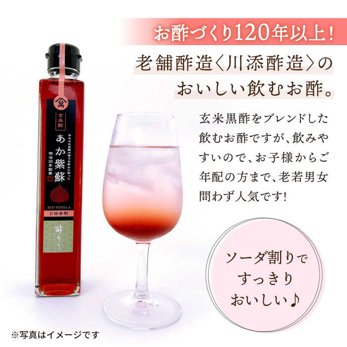 【ふるさと納税】【飲む玄米酢】酢らり 大瓶2本セット（あか紫蘇・西海うめ）＜川添酢造＞ [CDN028] 長崎 西海 飲む酢 酢 ビネガー 飲料 果実酢 お酢 ジュース 贈答 ギフト プレゼント 贈り物 お中元 お歳暮