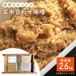 【ふるさと納税】【手作りキット】無農薬玄米麹で仕込む『玄米合わせ味噌』＜川添酢造＞ [CDN050]