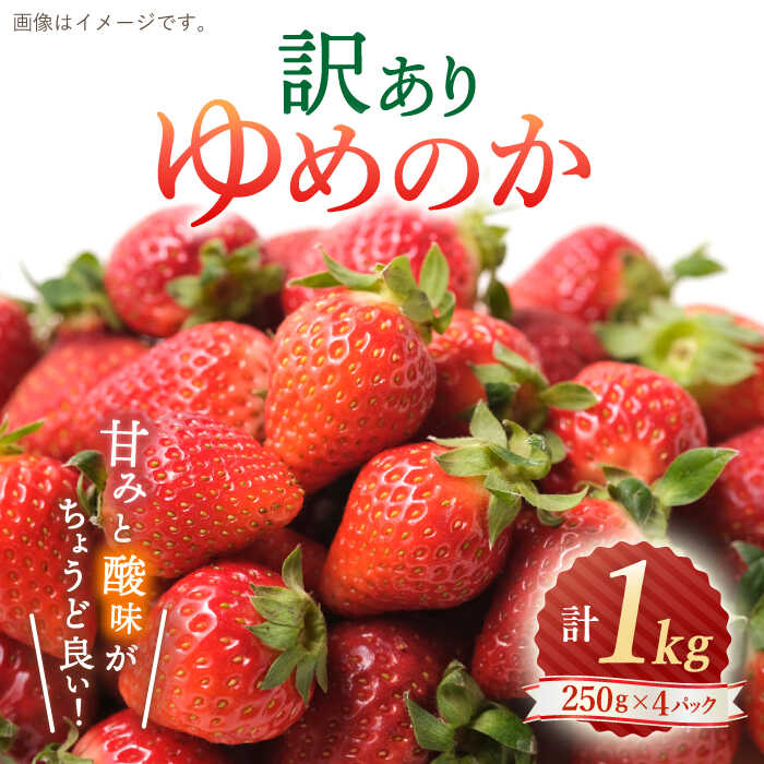 【ふるさと納税】【先行予約】【 訳あり 】 ゆめのか いちご 約1kg （250g×4パック）＜川原農園＞ [CDR001] いちご イチゴ 苺 果物 フルーツ 甘い ご家庭用 1kg