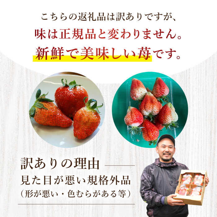 長崎県西海市の画像2