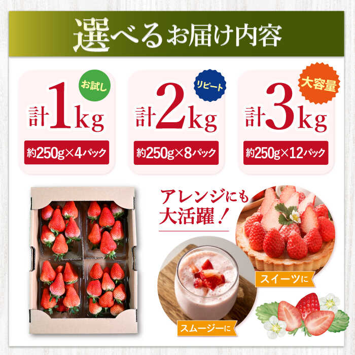 【ふるさと納税】【1月より順次発送】【先行予約】 ゆめのか いちご 1kg~3kg ＜川原農園＞ [CDR010] いちご イチゴ 苺 果物 フルーツ 甘い 1kg 2kg ご家庭用