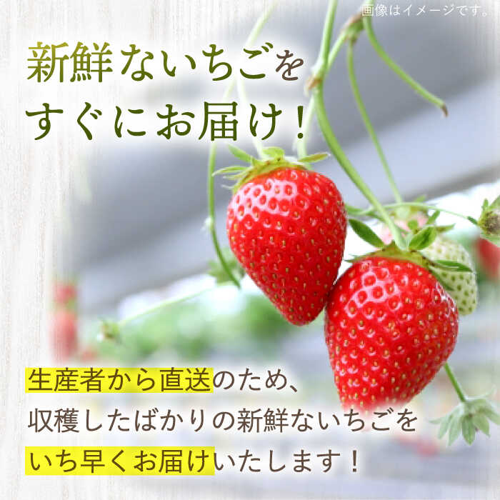 長崎県西海市の画像3