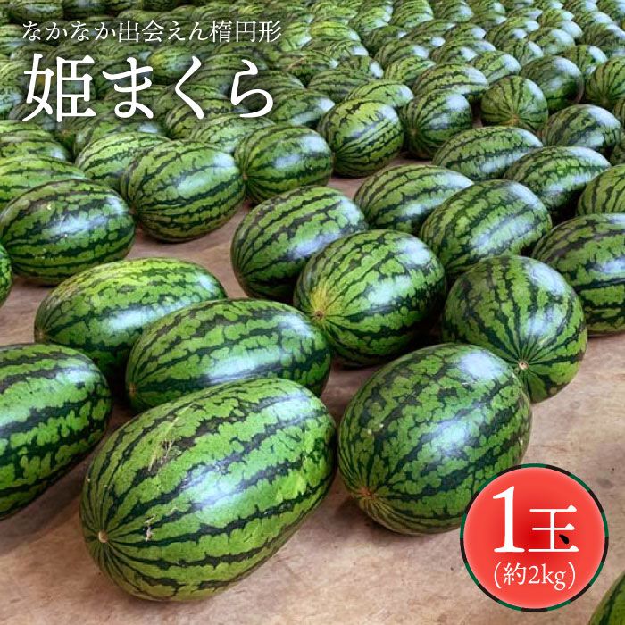 【楕円形西瓜】姫まくら（スイカ）1玉（2kg）＜ファームまるだ＞ [CDT004]