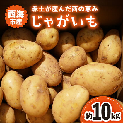 【☆ 先行予約 ☆】【赤土が生んだ西の恵】 西海市産 じゃがいも 約 10kg ＜ファームまるだ＞ [CDT002] 長崎 西海 ジャガイモ 芋 いも ポテト 新鮮 野菜 産地直送