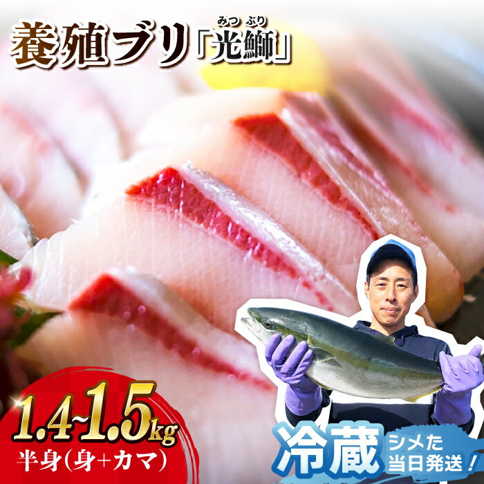 【 着日指定可 】鮮度バツグン！養殖 ブリ 「光鰤」半身（刺身用）1.4～1.5kg＜小山水産＞ [CDZ001] ぶり 鰤 刺身 魚 鮮魚 下処理済み 真空パック 小分け ブロック 着日指定 産地直送 魚 ブロック 刺身用