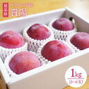 ڤդ뤵Ǽǡۡڡͽۡڥץβ͡  (褦)1kg(5~6) [CEB001] Ĺ  ץ ...