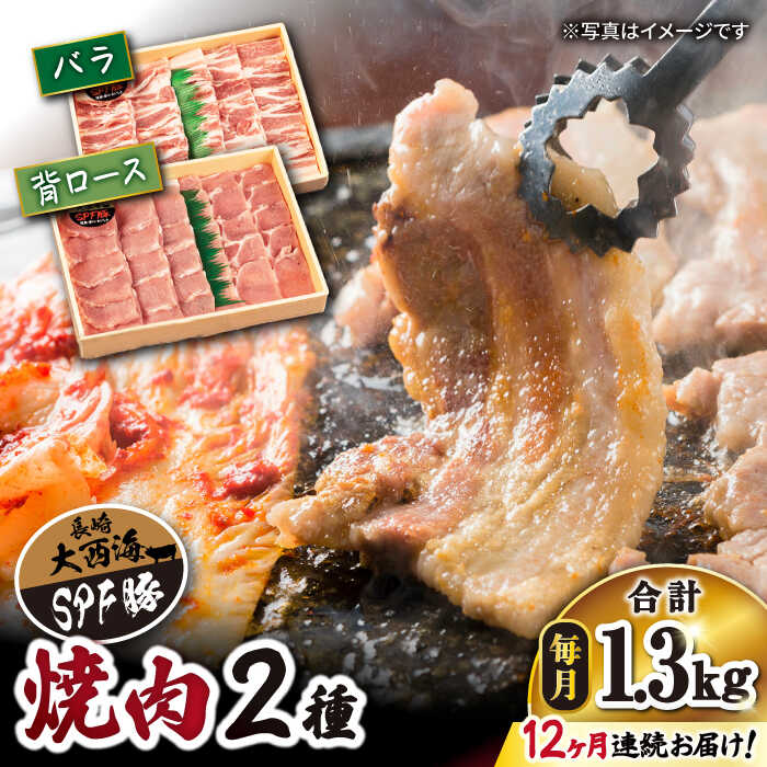 【ふるさと納税】【訳あり】【月1回約1.3kg×12回定期便】大西海SPF豚 背ロース＆バラ（焼肉用）計15.6k..