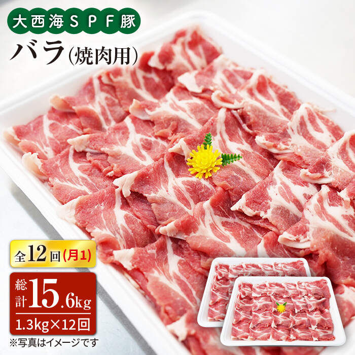 【ふるさと納税】【訳あり】【月1回約1.3kg×12回定期便】大西海SPF豚 バラ（焼肉用）計15.6kg＜大西海..