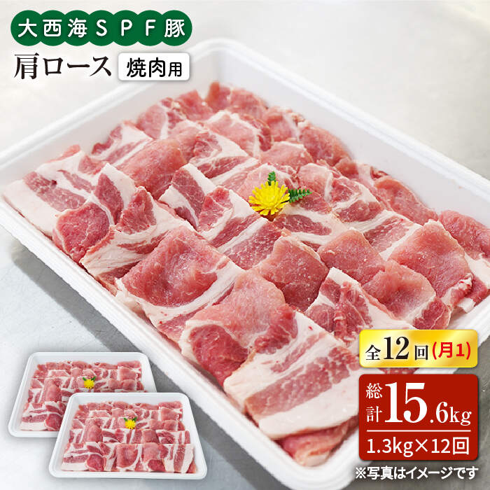 【ふるさと納税】【訳あり】【月1回約1.3kg×12回定期便】大西海SPF豚 肩ロース（焼肉用）計15.6kg＜大西海ファーム＞ [CEK125]