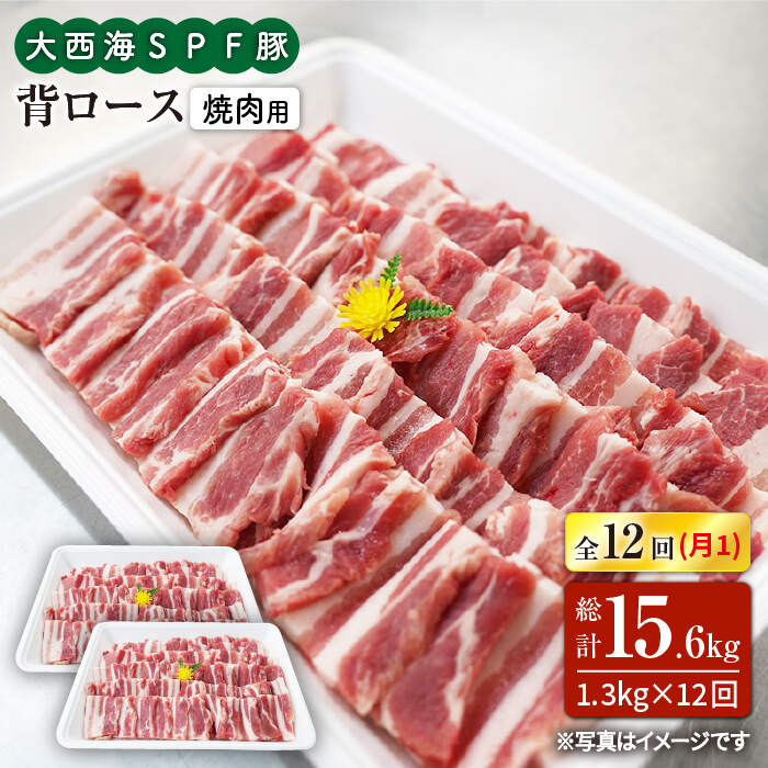 【ふるさと納税】【訳あり】【月1回約1.3kg×12回定期便】大西海SPF豚 背ロース（焼肉用）計15.6kg＜大..