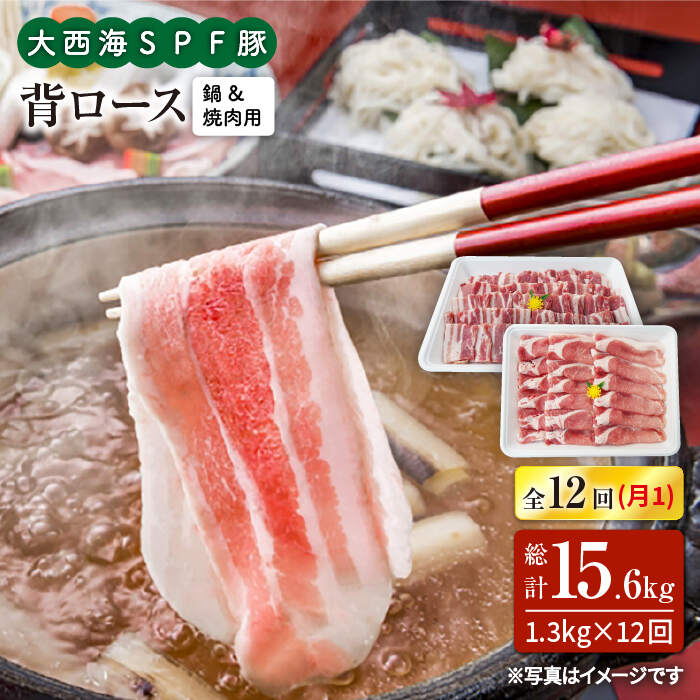 【ふるさと納税】【訳あり】【月1回約1.3kg×12回定期便】大西海SPF豚 背ロース（焼肉＆しゃぶしゃぶ用..