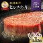 ڤդ뤵Ǽǡۡ12ء Ĺµ ҥ쥹ơ 1kg68ˡ12ءե [CEK143] Ĺ Ĺµ µ   ֥ɵ ơ ҥ ե إ  BBQ £ ե ץ쥼 