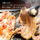 【ふるさと納税】【訳あり】【大人気こま切れ入り♪】大西海SPF豚 国産豚 豚肉4種類 1.2kgセット 【大西海ファーム食肉加工センター】 [CEK166] 3