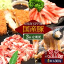 【ふるさと納税】【訳あり】【3回定期便】【大人気こま切れ入り♪】大西海SPF豚 国産豚 豚肉4種類 1.2kgセット 【大西海ファーム食肉加工センター】 [CE...