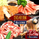 【ふるさと納税】【訳あり】【6回定期便】【大人気こま切れ入り♪】大西海SPF豚 国産豚 豚肉4種類 1.2kgセット 【大西海ファーム食肉加工センター】 [CE...