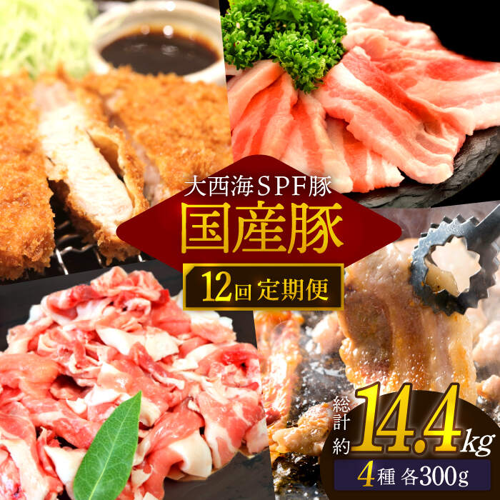 【ふるさと納税】【訳あり】【12回定期便】【大人気こま切れ入り♪】大西海SPF豚 国産豚 豚肉4種類 1.2kgセット 【大西海ファーム食肉加工センター】 [C...