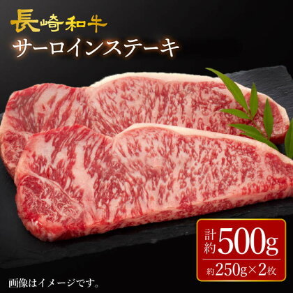 【訳あり】長崎和牛 サーロイン ステーキ 約500g（2枚） 【大西海ファーム食肉加工センター】 [CEK178]