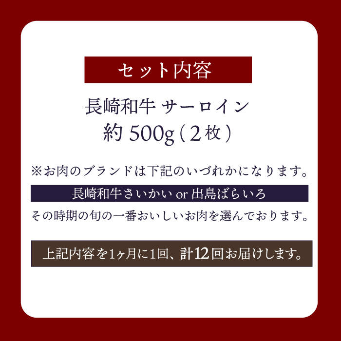 【ふるさと納税】【訳あり】【12回定期便】 長崎和牛 サーロイン ステーキ 約500g（2枚） 【大西海ファーム食肉加工センター】 [CEK181]