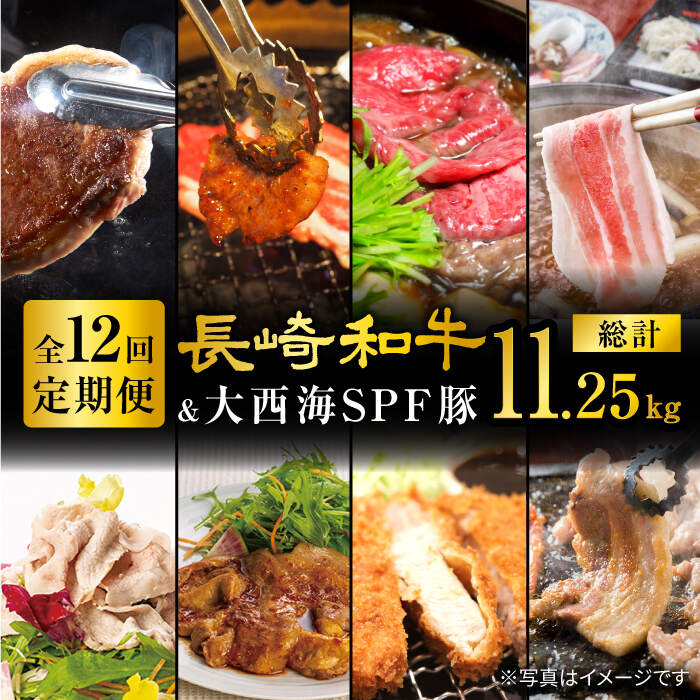 29位! 口コミ数「0件」評価「0」【オールスター定期便☆】【12回定期便】 長崎和牛 大西海SPF豚 定期便 ブランド国産豚＜大西海ファーム＞ [CEK186]