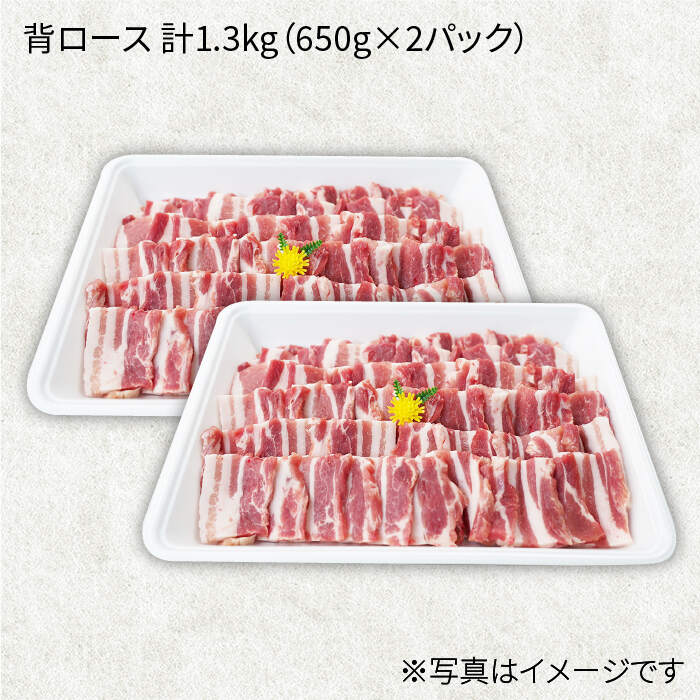 【ふるさと納税】【訳あり】【焼肉革命】大西海SPF豚 背ロース（焼肉用）計1.3kg（650g×2パック）＜大西海ファーム＞ [CEK038]