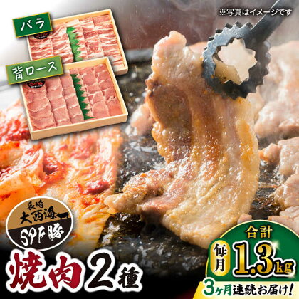 【 訳あり 】【3回 定期便 】 大西海 SPF豚 背ロース ＆ バラ （ 焼肉 用）計1.3kg（各650g）＜大西海ファーム＞[CEK044] 長崎 西海 肉 食品 肉類 国産 豚肉 こだわり セット 甘み 旨み ブランド豚 贈答 ギフト