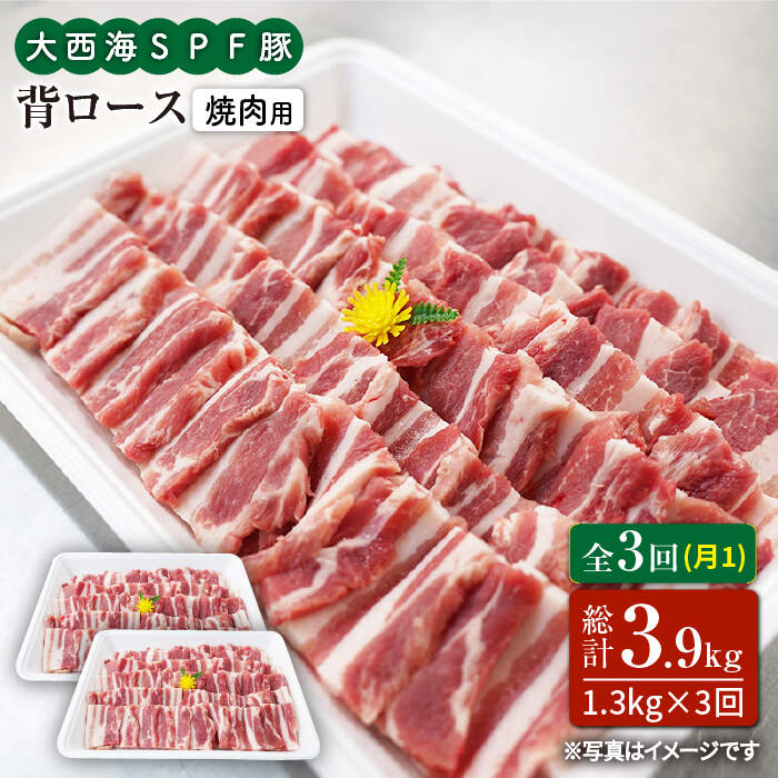 【ふるさと納税】【訳あり】【月1回1.3kg×3回定期便】大西海SPF豚 背ロース（焼肉用）計3.9kg＜大西海ファーム＞ [CEK096]