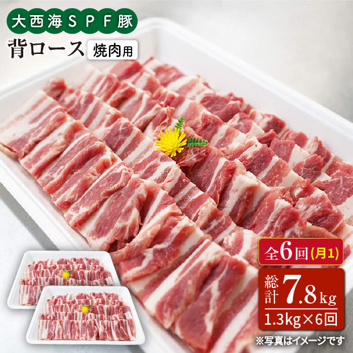 【訳あり】【月1回1.3kg×6回定期便】大西海SPF豚 背ロース（焼肉用）計7.8kg＜大西海ファーム＞ [CEK097]