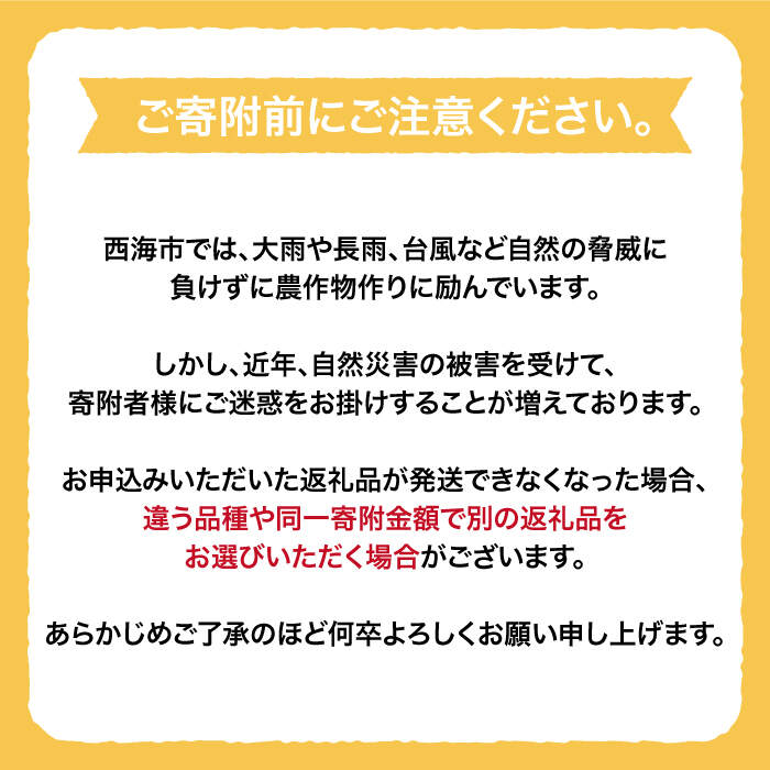 【ふるさと納税】【数量限定】【もぎたて新鮮】原口みかん 約5kg＜中尾果樹園＞ [CEL001] みかん 蜜柑 ミカン 西海みかん 温州みかん 果物 フルーツ 贈答 ギフト プレゼント 甘い ジューシー f422126-saikai-10001097 長崎県西海市 サンプル画像2