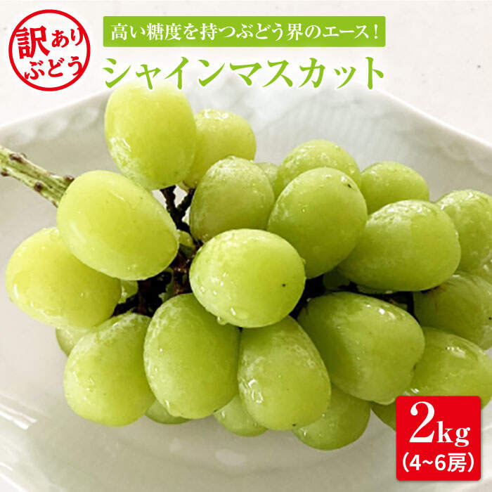 【ふるさと納税】【数量限定】 【訳あり】とにかく甘い！シャインマスカット約2kg（4房～6房）＜岡本　満博＞ [CEN004]