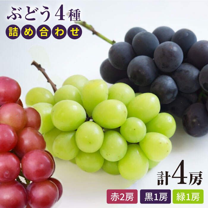 【ふるさと納税】【数量限定】ぶどう4種詰め合わせ（4房）＜岡本　満博＞ [CEN007]のサムネイル